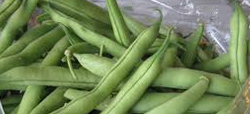 verduras